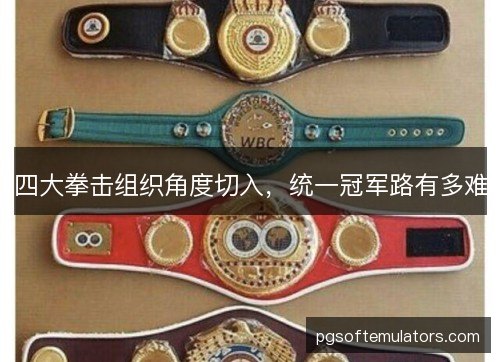 四大拳击组织角度切入，统一冠军路有多难